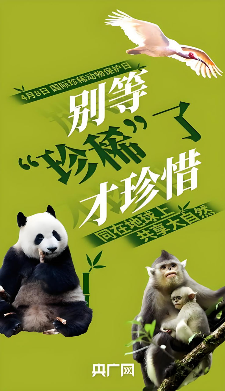 都市妖怪
